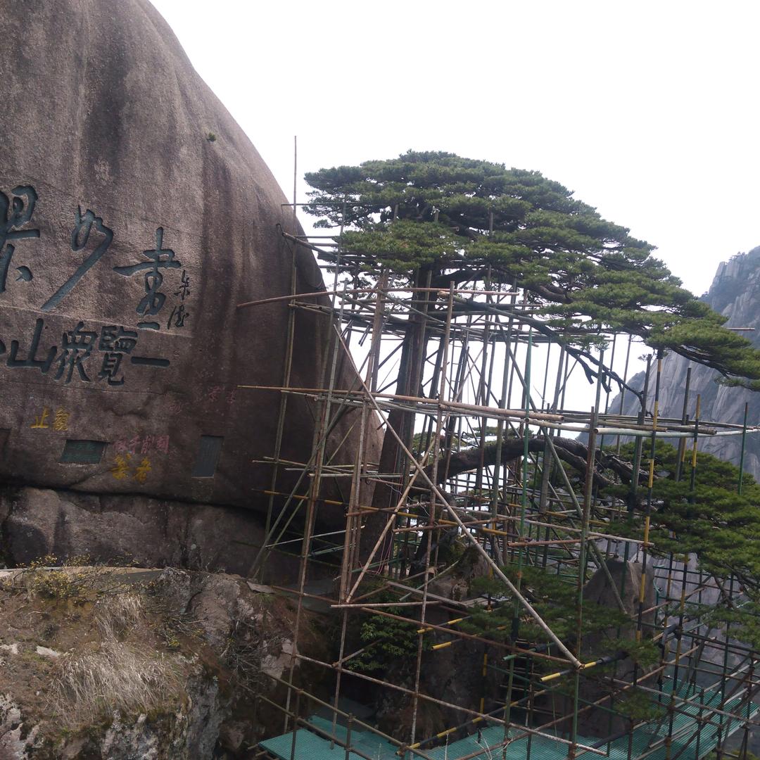 无聊寂寞人