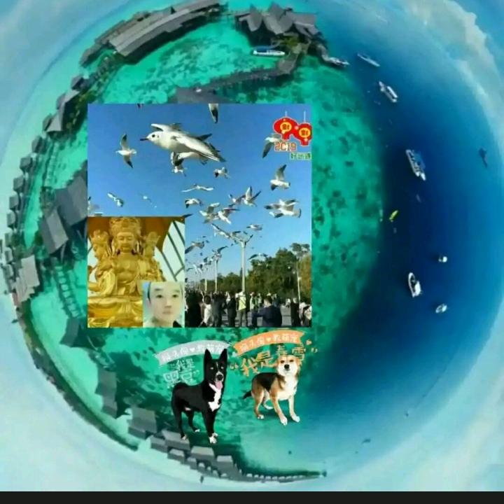 全球通