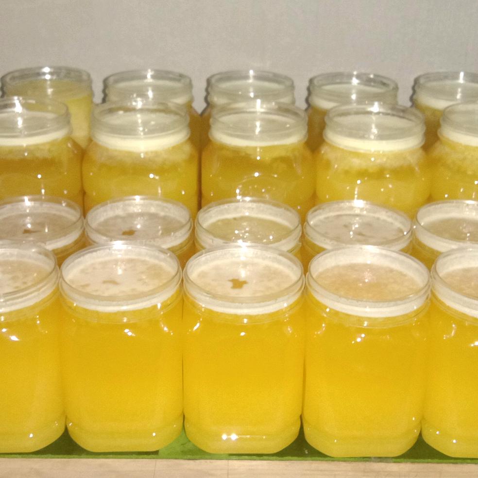 我是小蜜蜂1528365308我是养蜜的