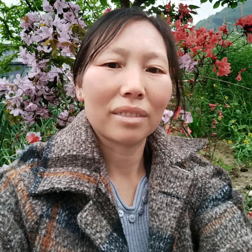 合家欢乐