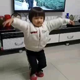 坡柳