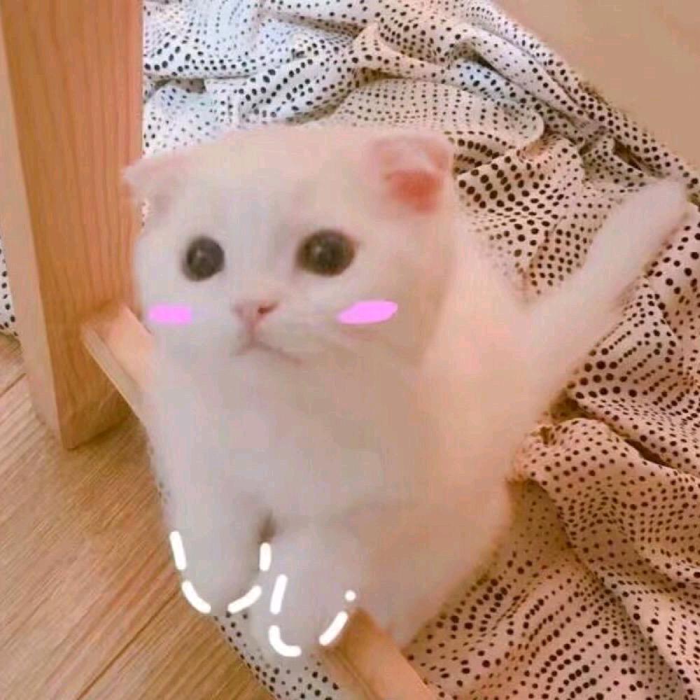 璃酱吖～