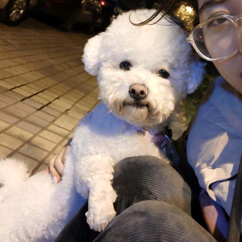 章鱼🐙小姐
