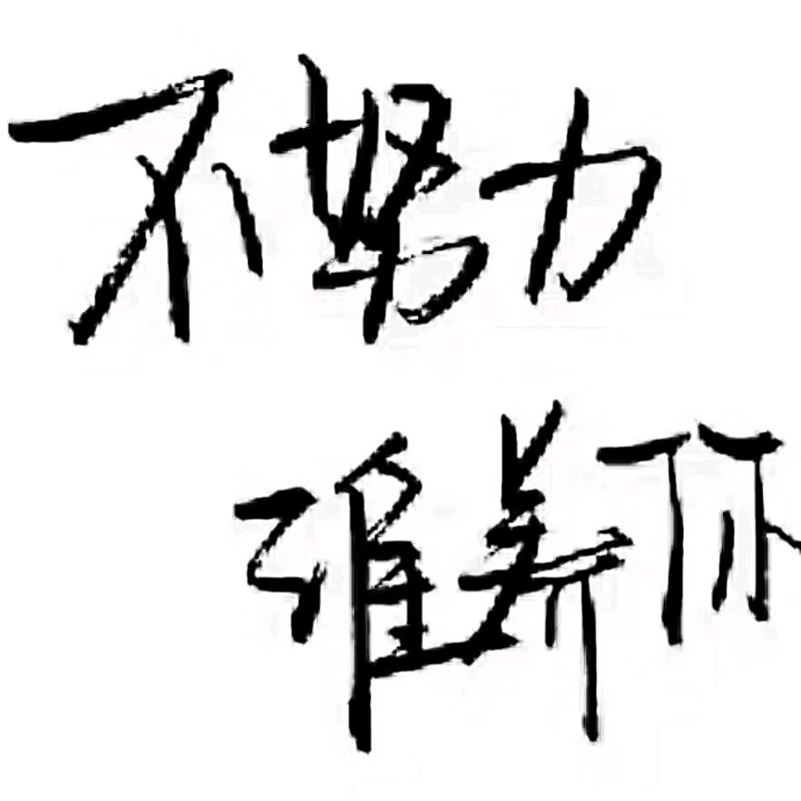 眼李只有林