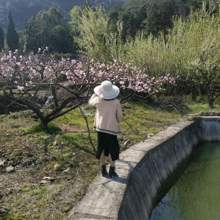 微微凉