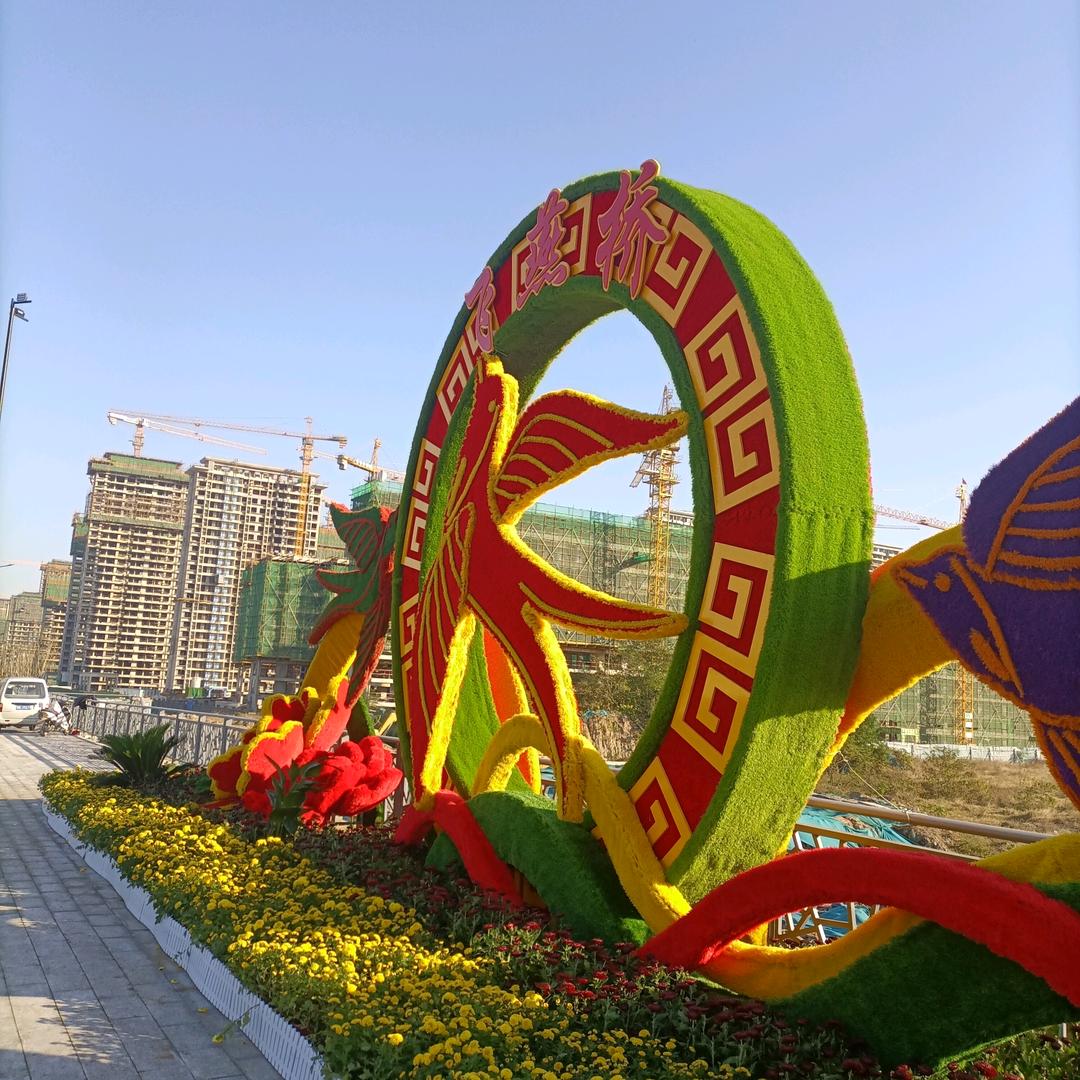 杨先生