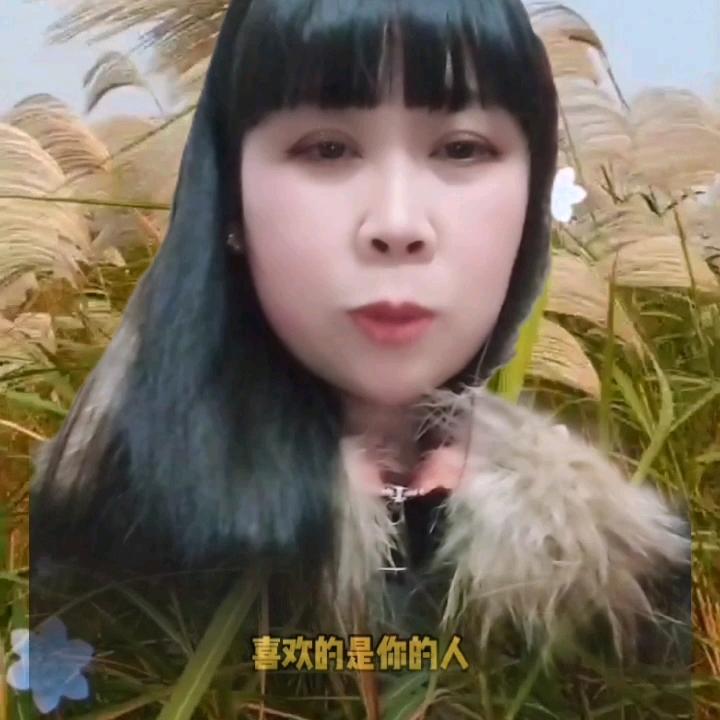 石榴116，