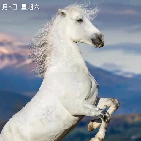 ╭( ′• o •′ )╭☞就是这个人！