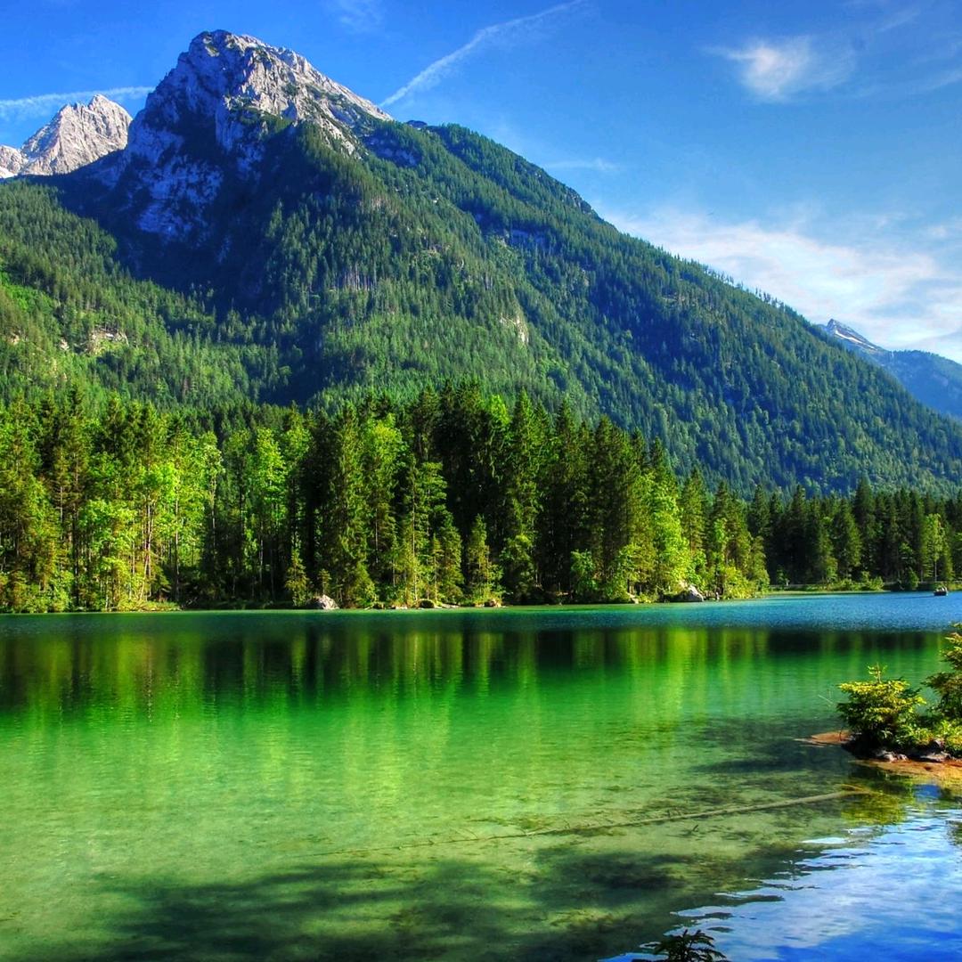 一念之间🇨🇳