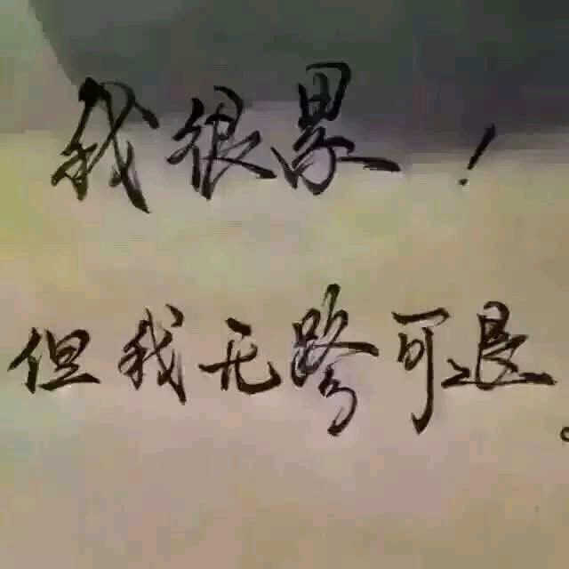 努力吧，强！