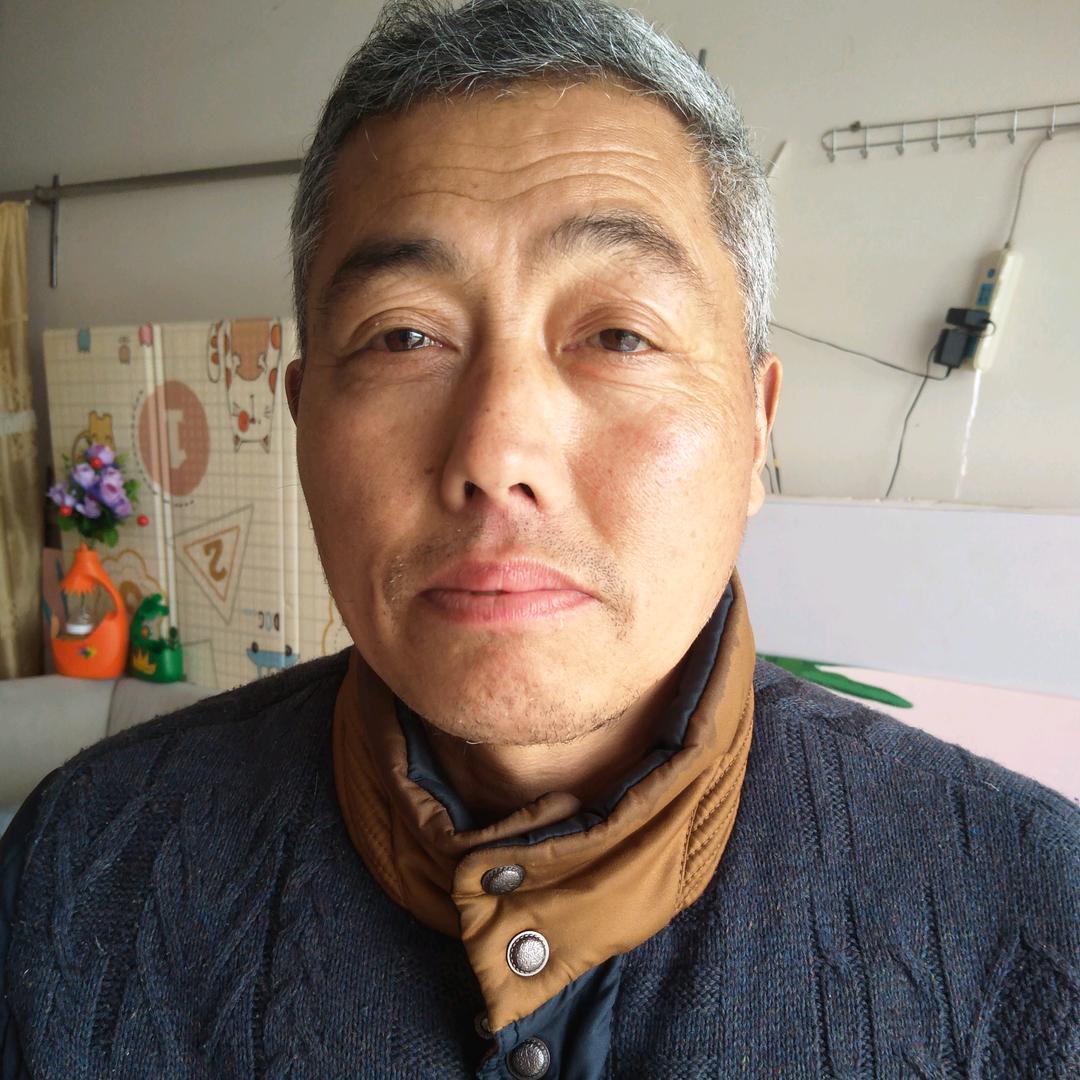 小鸟)