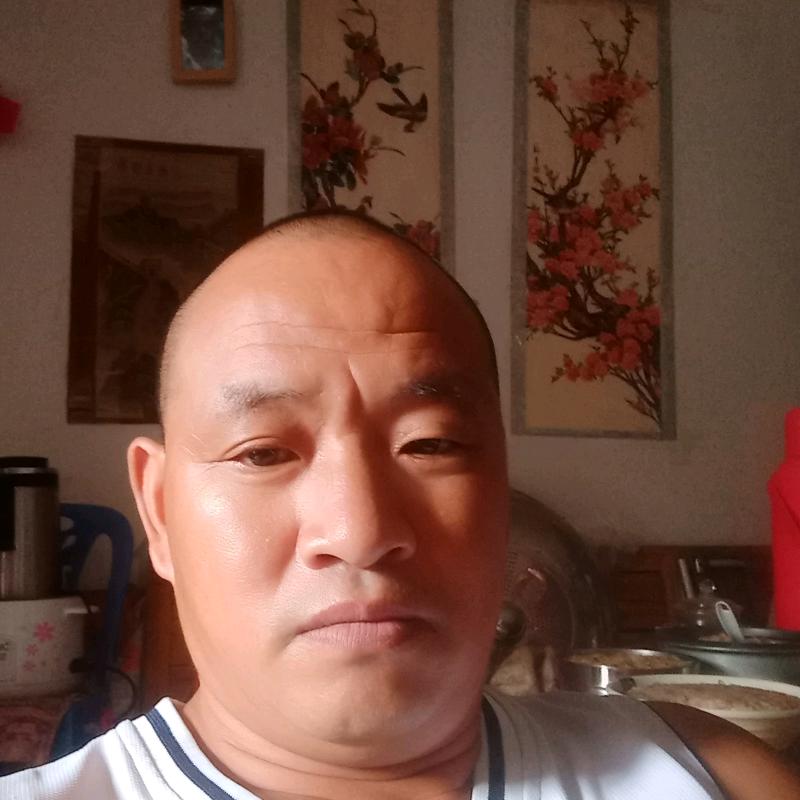 东山再起好运连连