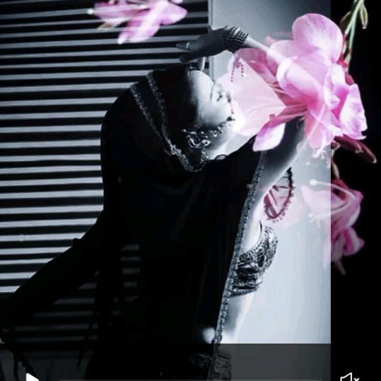 紫月幽魔【夏无缘老师】