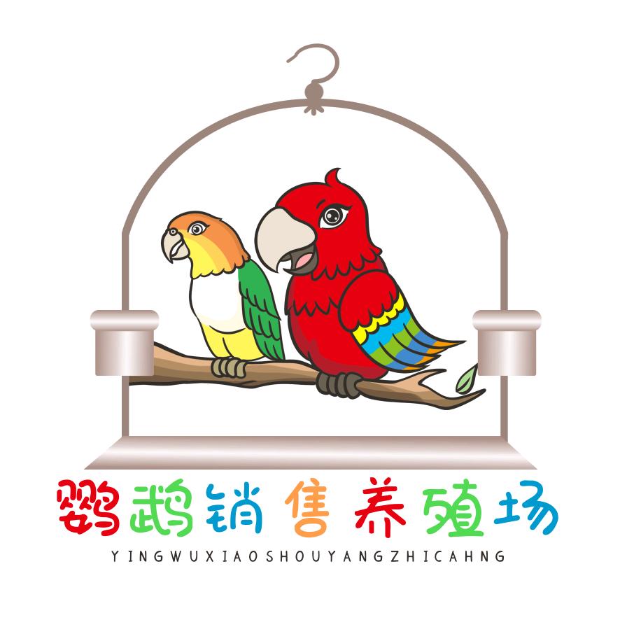 金刚凯克鹦鹉养殖场