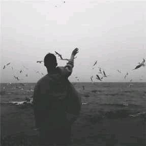 阿姐,可否借个吻💋