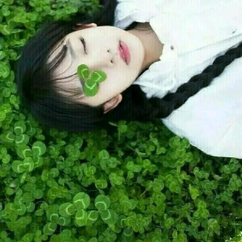 好运鲤锦