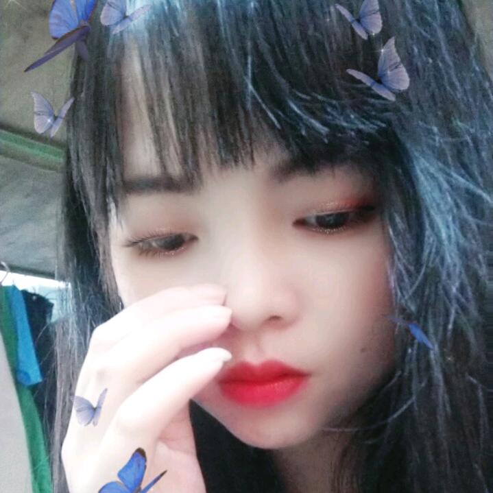 佳菲猫