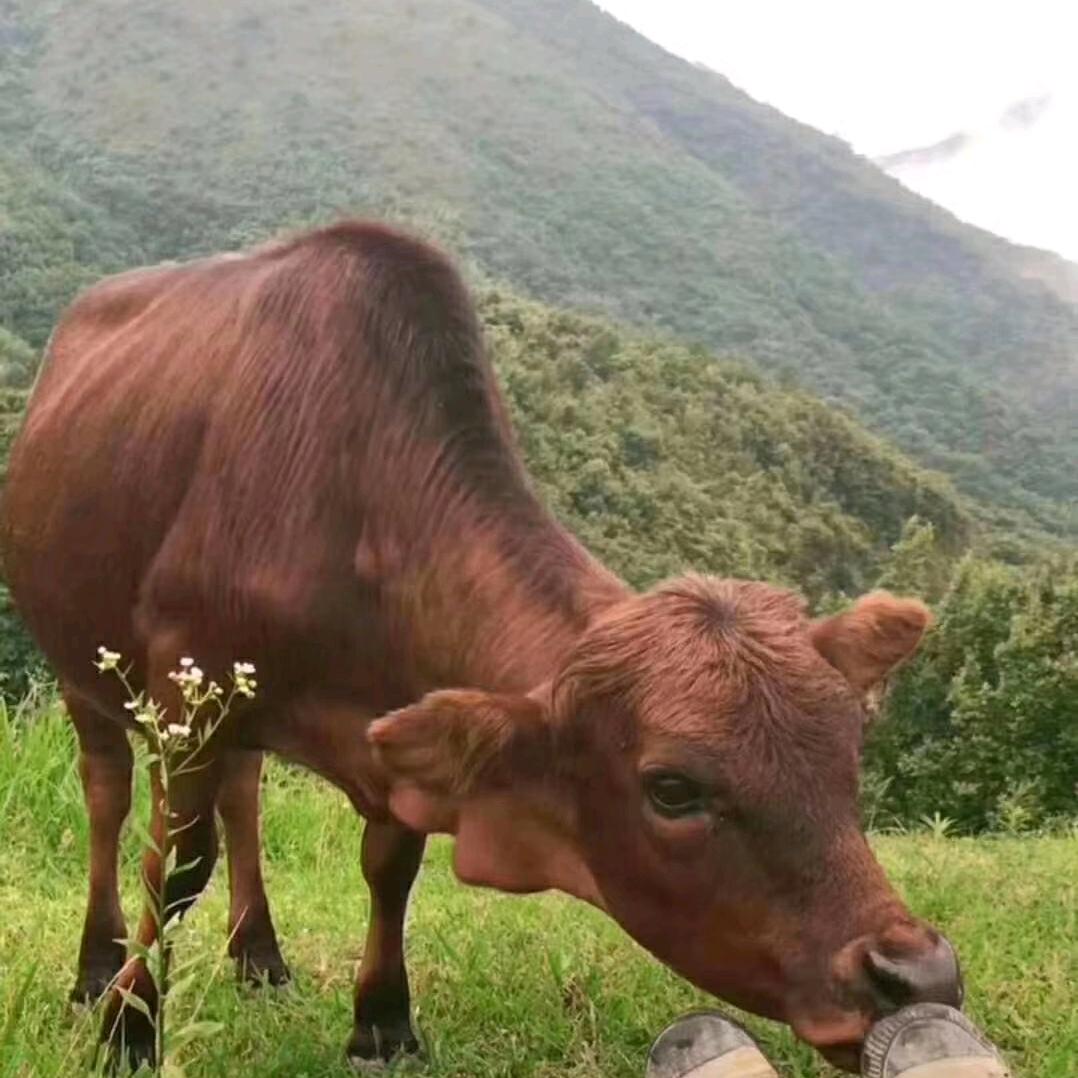 奋斗( •ิ_• ิ)