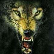 新能源建设者，杨麟