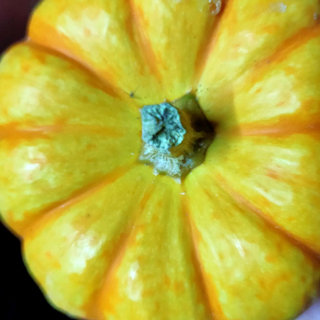 时来转运
