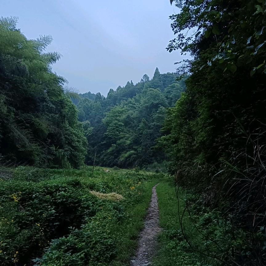 万丰哥