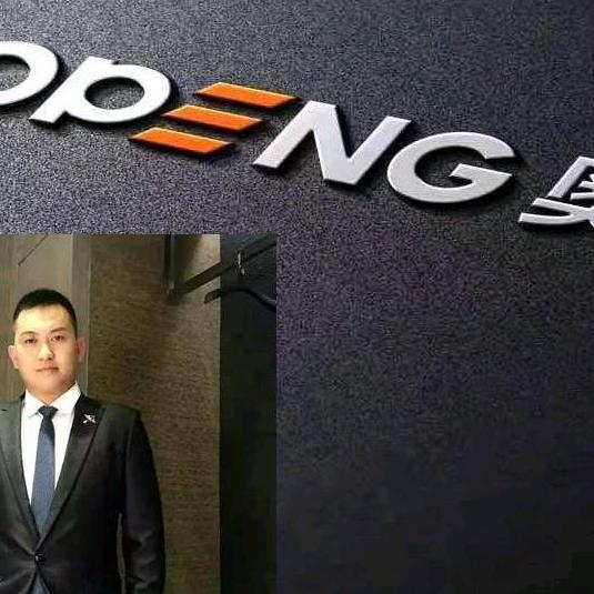 奥鹏梯业国内事业部