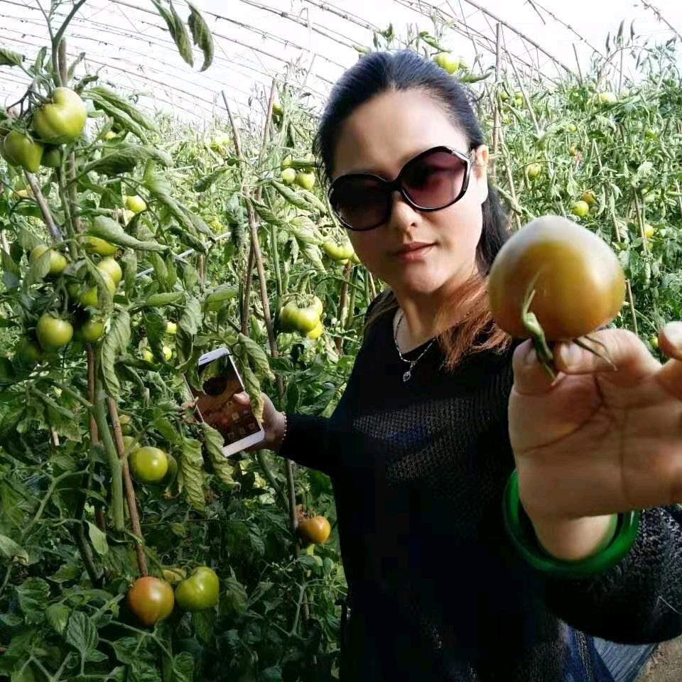 若惜（崑嵛苹果 地瓜 米面粮油）