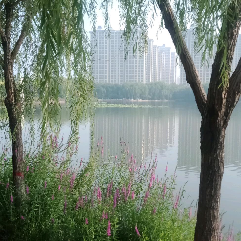 心存海内