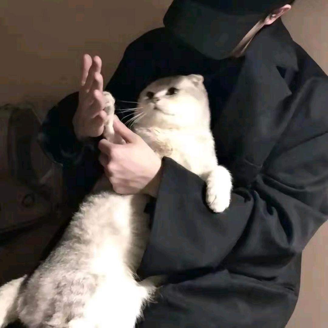 藏器于身