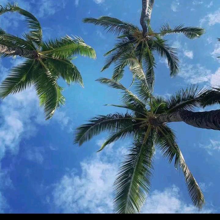 老玩童