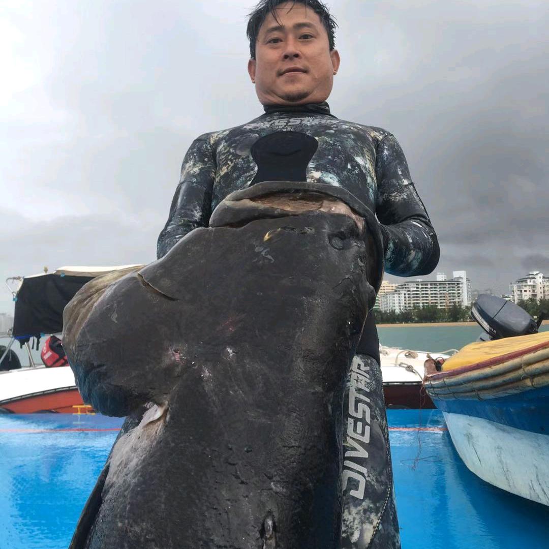 猎潜马飞