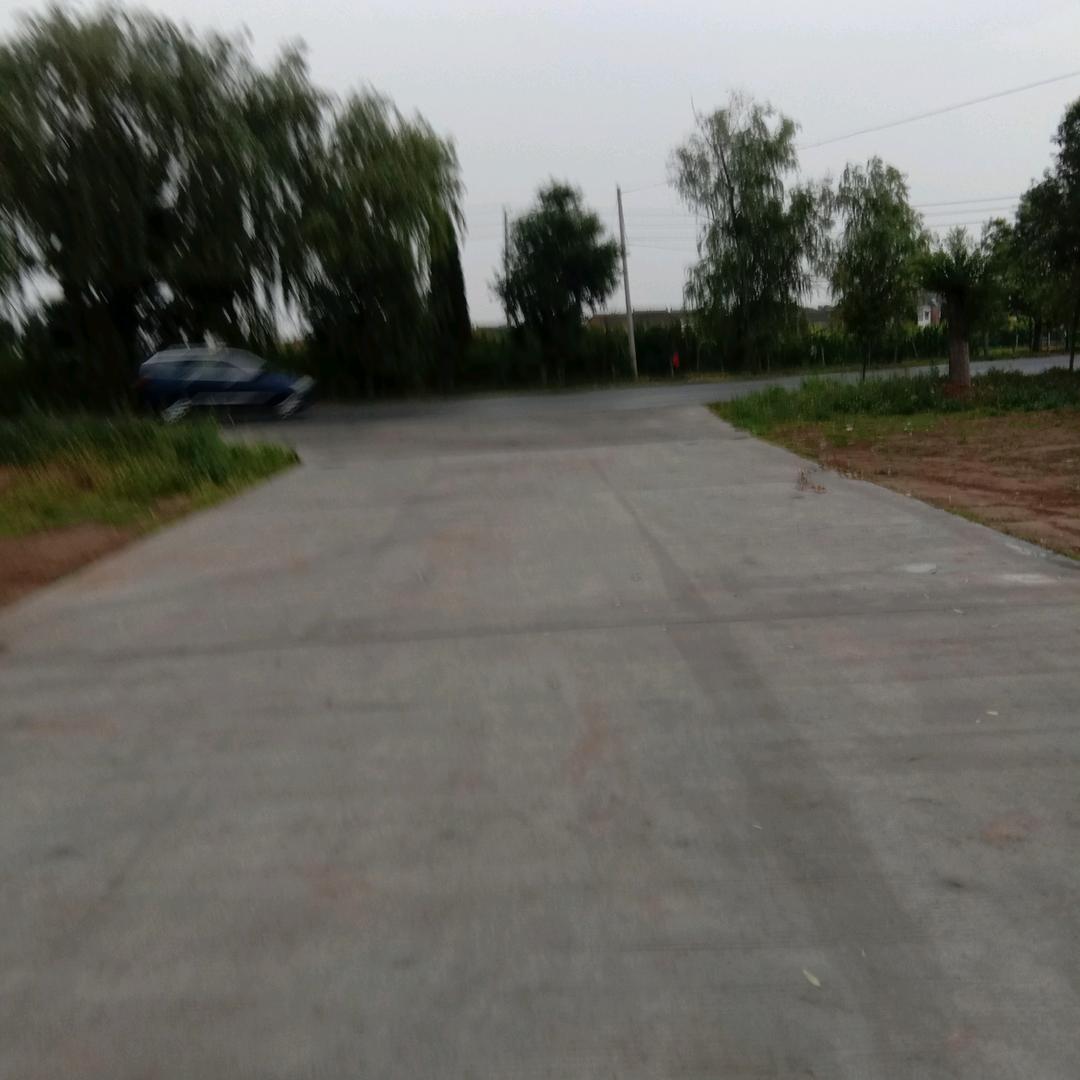 春光是我家