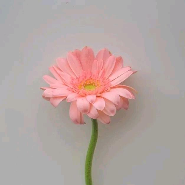 @晴天