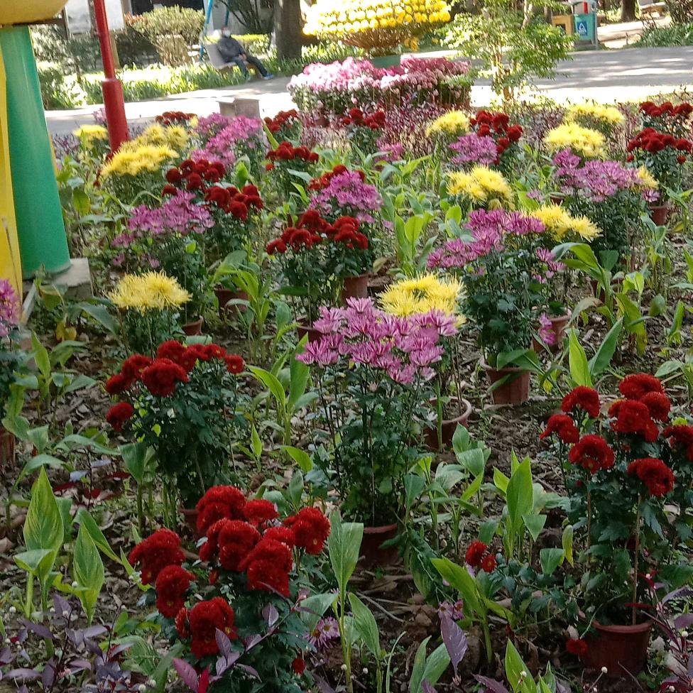 健康快乐！每一天