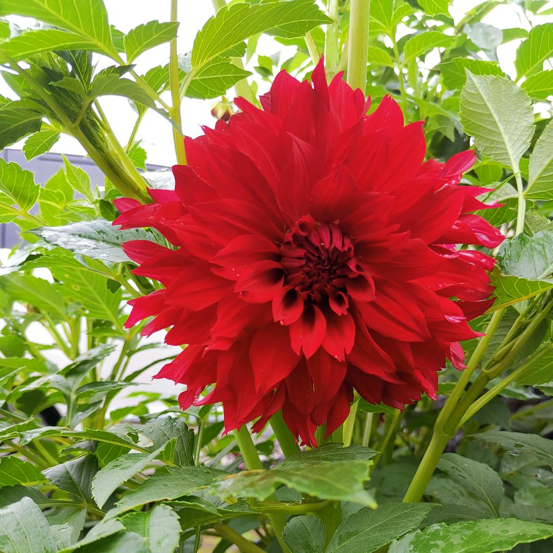 海波物流有限公司@铭煜开锁服部