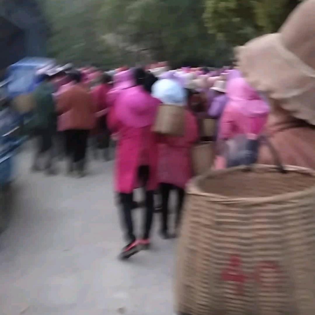 晚霞姐
