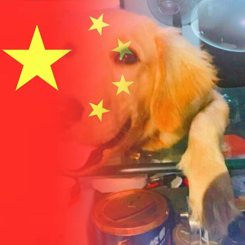 ঐ᭄听风ꦿ꧉念᭄故人ꦿᩚ🕊️