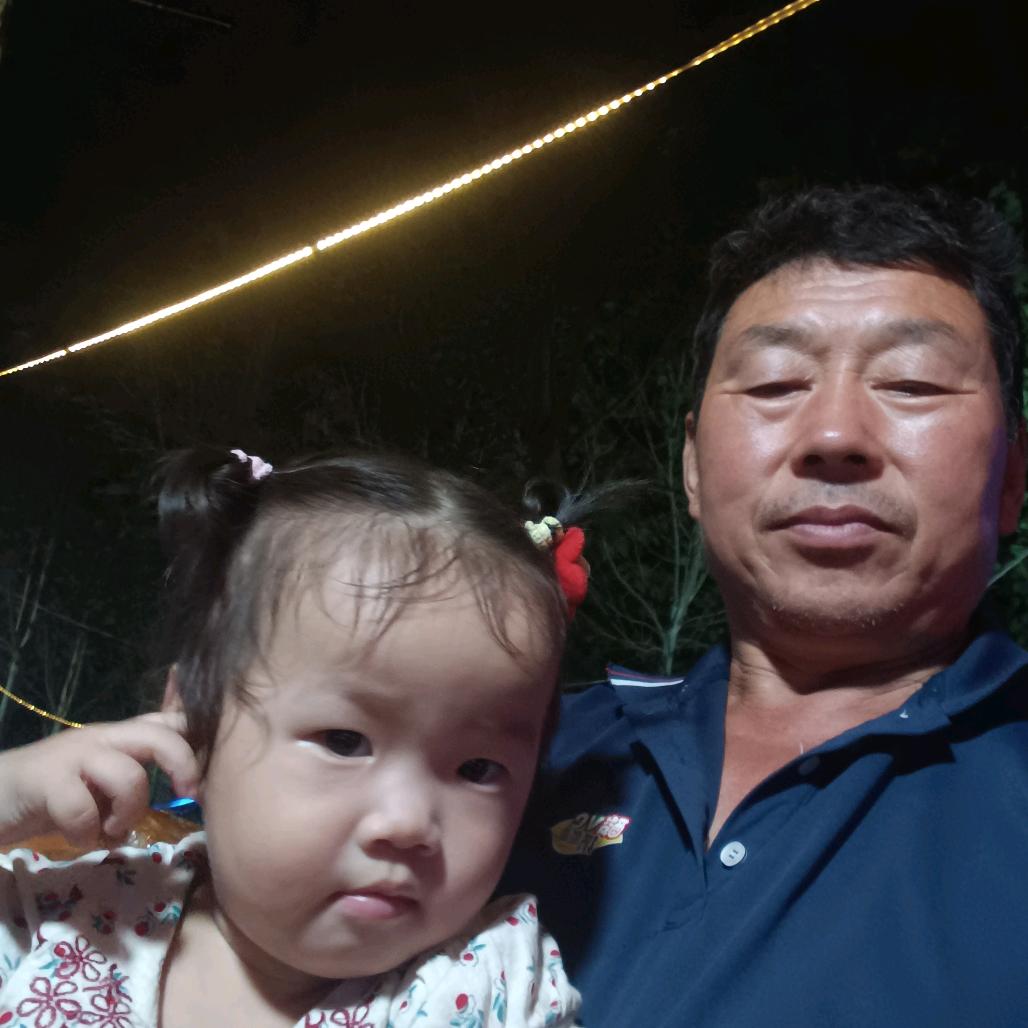 曹县庄寨，散养芦花鸡，