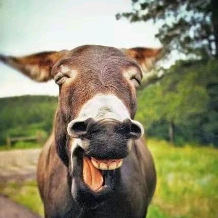 着力即差，顺遂为高