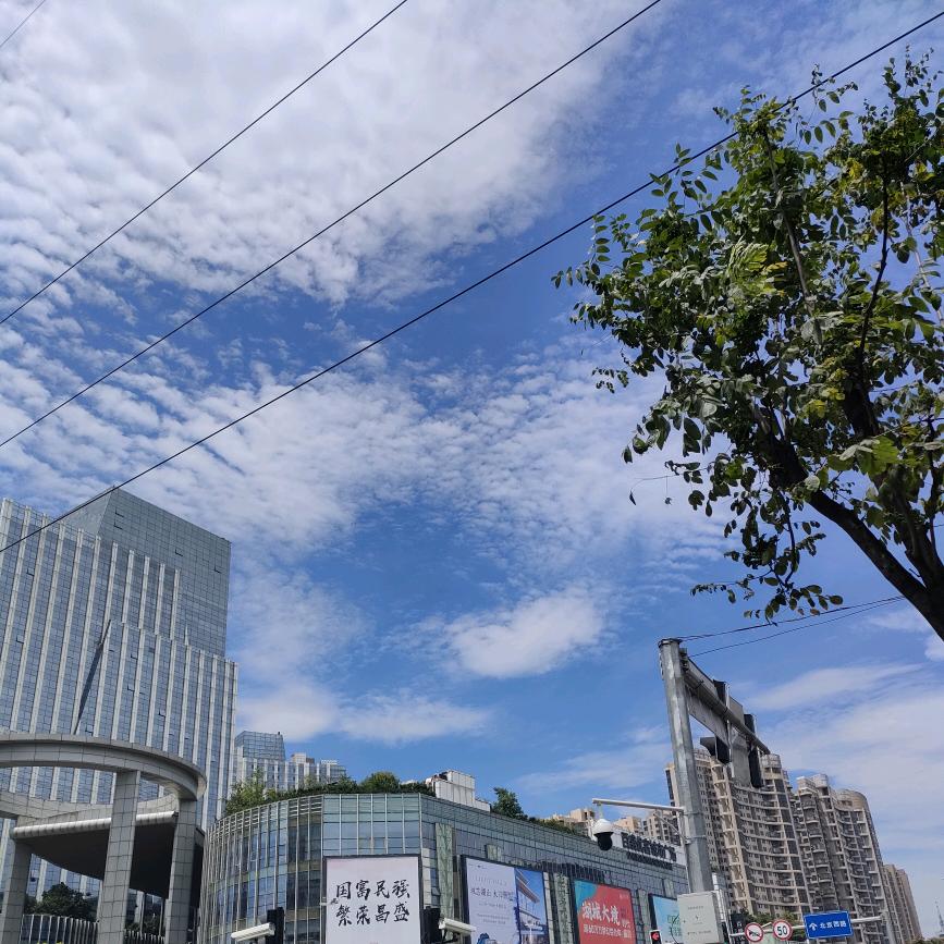 平安健康、顺心发财