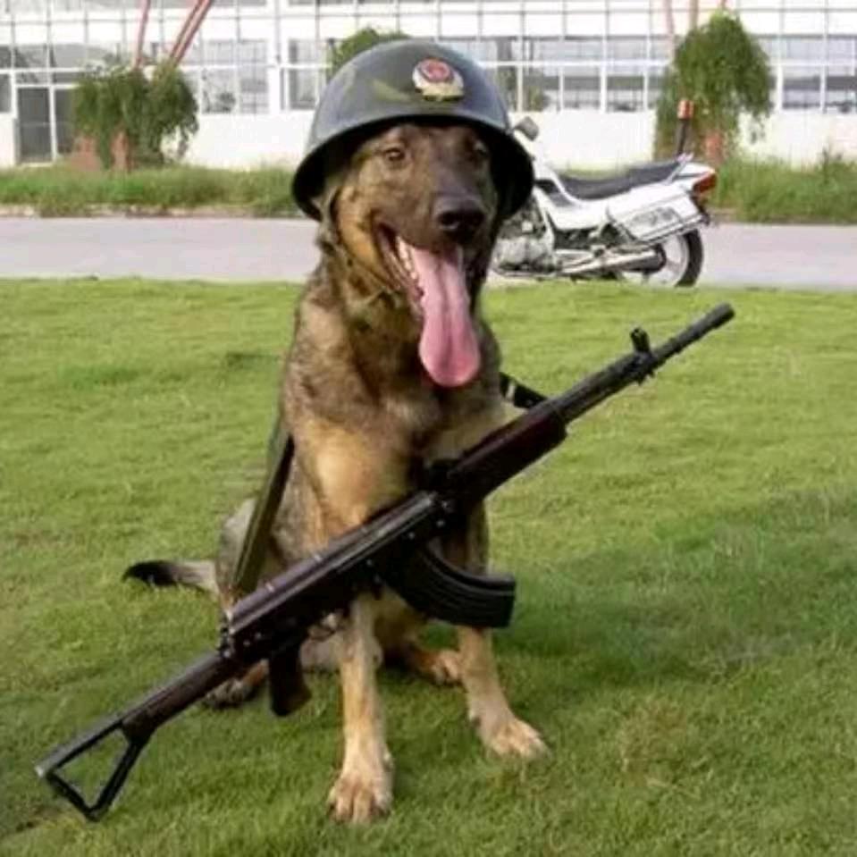 神鹰背上听秋风