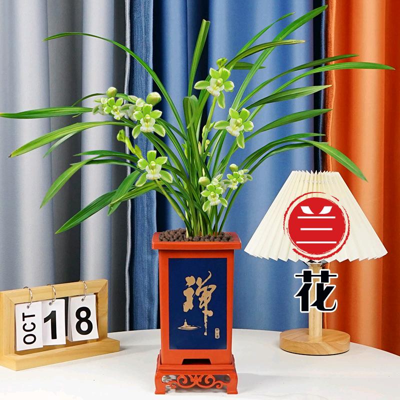 森境绿植大仓