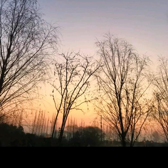 太多如果