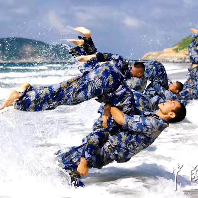 品尚战狼格斗