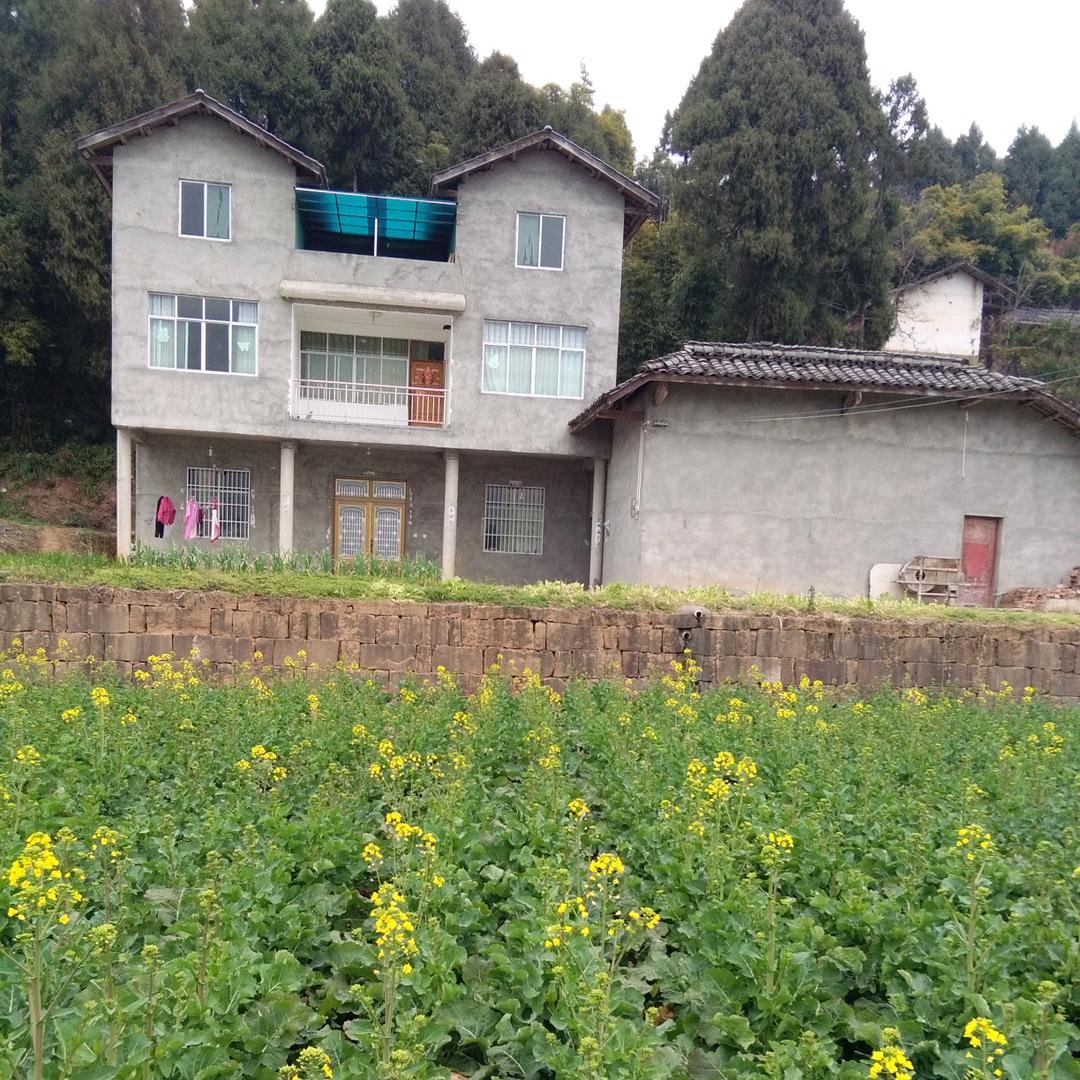 用户6841024809490