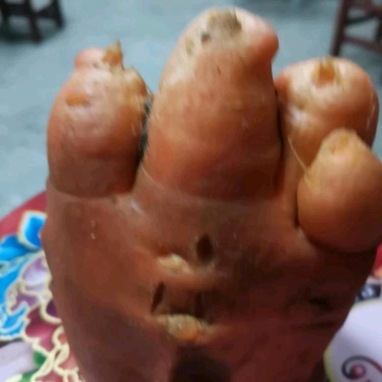 香苑酒店的汪明鹤头像