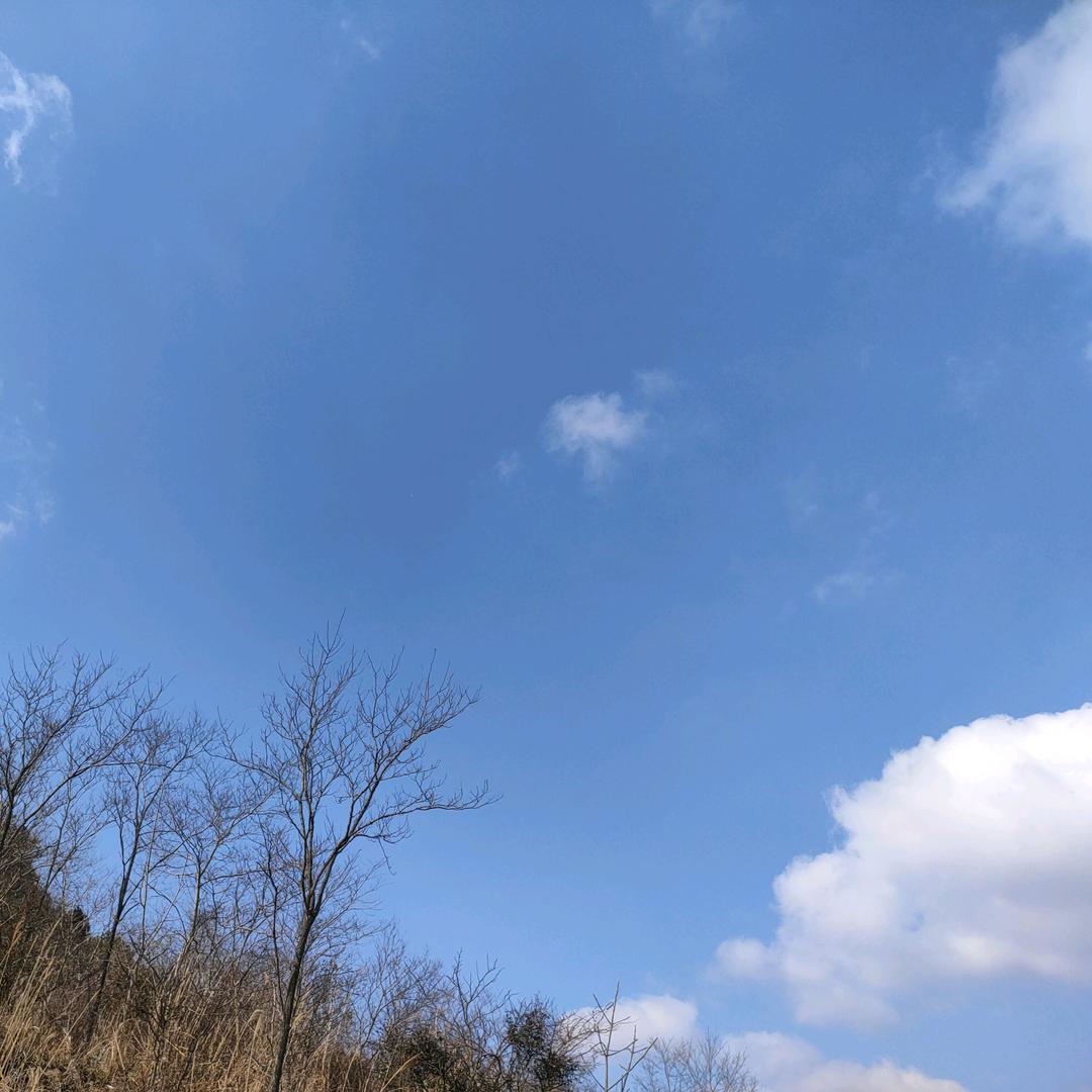 萌苿宝妈