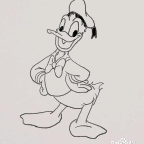 花开富贵，心如止水☺☺☺