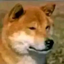 六边形战士狗钩