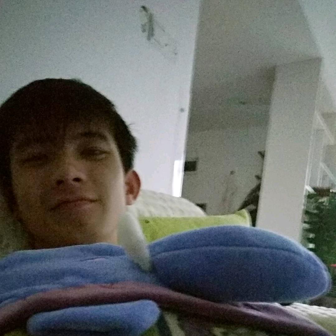 我与你一同行至天光